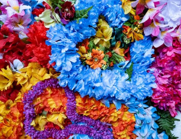 ハワイの伝統模様【花のモチーフ】