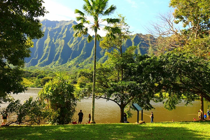 オアフ島の植物園でハワイの大自然を満喫！ オアフ島の植物園とホノルル最大のフォスター植物園も解説