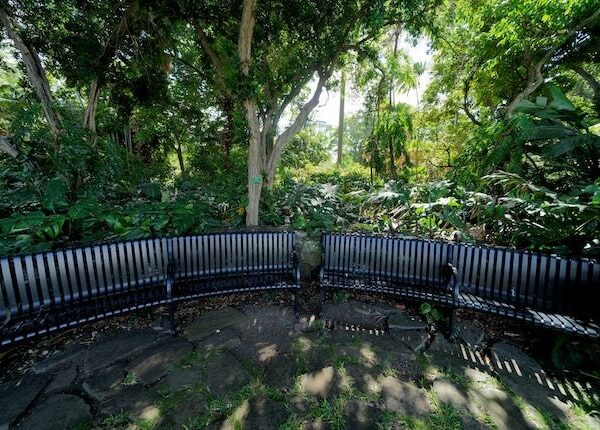 【ハワイ最古の植物園】フォスター植物園の歴史や見どころについて