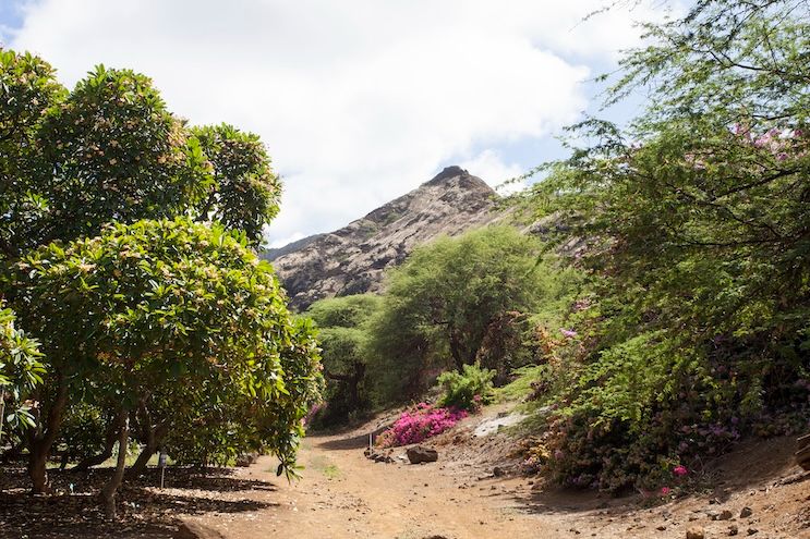 ココ・クレーター・ボタニカル・ガーデンはワイルドな植物園！見どころ