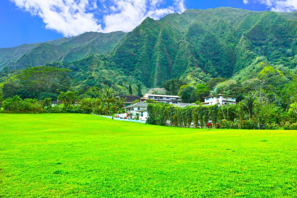 公園が持つ歴史的・文化的な価値