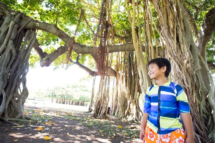 カマアイナ・キッズと公園