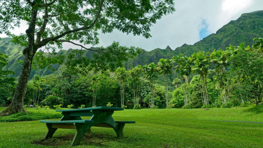 住宅街に隠れた穴場「ヘエイア州立公園」とは