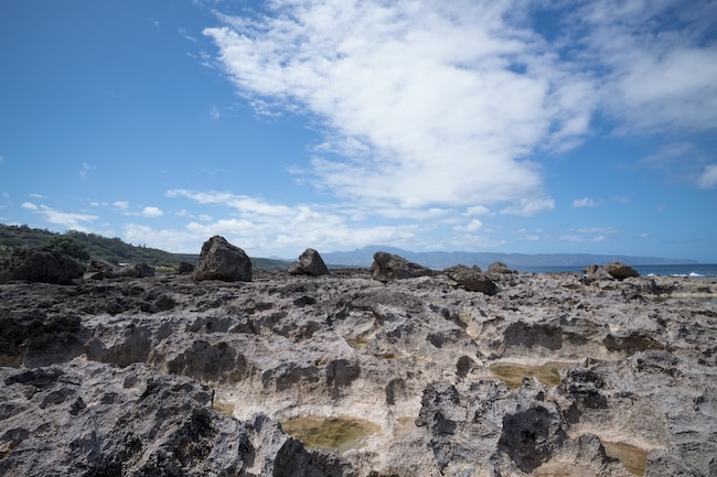 モクアイカウア教会の建築様式とハワイの技術