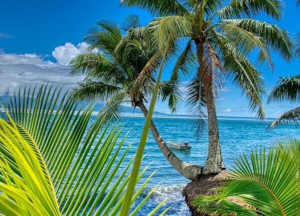 ハワイとポリネシアの関係とは？ポリネシアとハワイの文化について解説