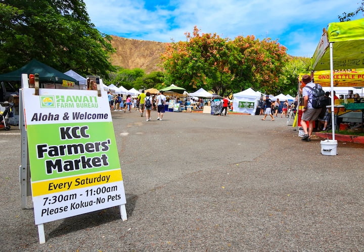 新鮮なフルーツを楽しめるおすすめの農園