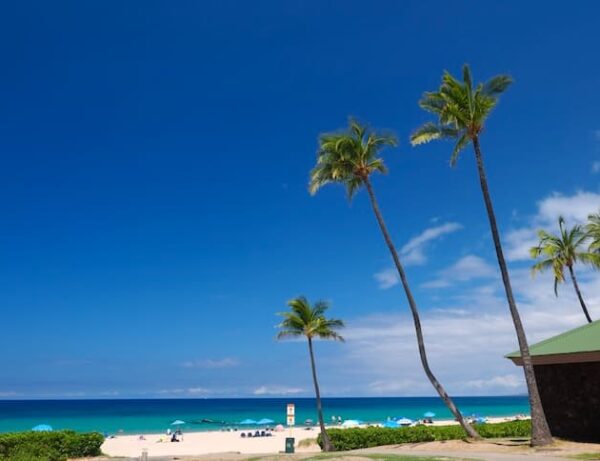 ハプナ・ビーチ州立公園とは？ハワイ島で有数の美しいビーチについて解説