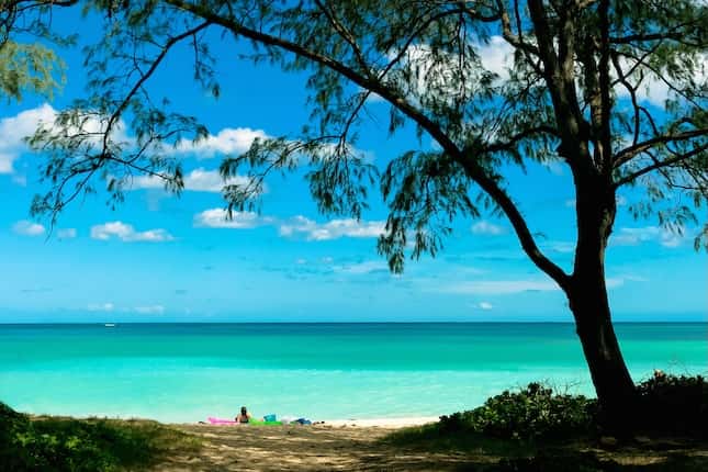 ワイマナロビーチパークの設備