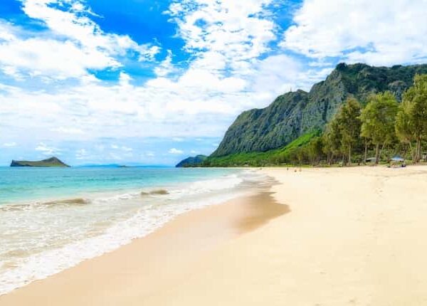 ワイマナロビーチとは？全米1位の美しさを誇るハワイのビーチを紹介