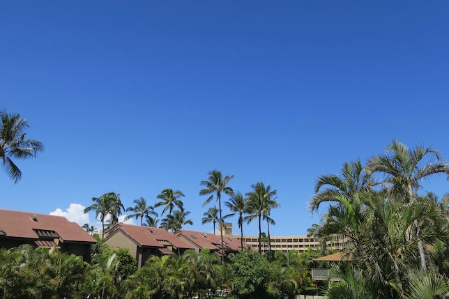 メネフネはいつから語られているか