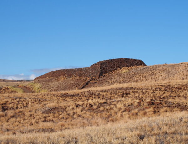 ハワイ島の歴史がつまったプウコホラ・ヘイアウ国立歴史公園について解説