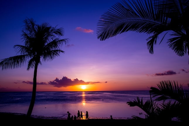 オヒアレフアが持つ象徴的な意味