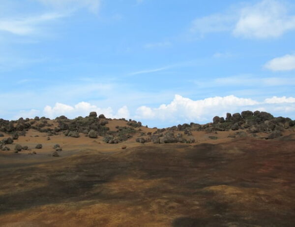 神々の庭園"ケアヒアカヴェロ"とは？ラナイ島の秘境スポットについて解説