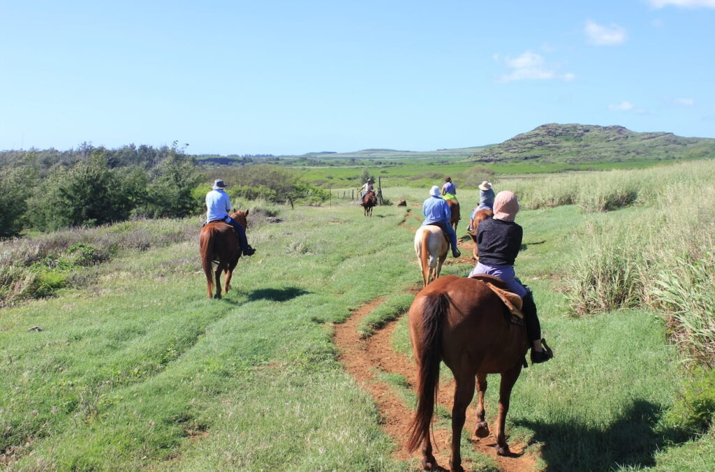 歴史を物語るマナ・ロードの邸宅と家系博物館